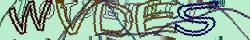 Retype the CAPTCHA code from the image