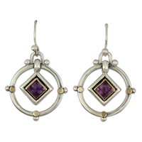 Petey Earrings in Amethyst